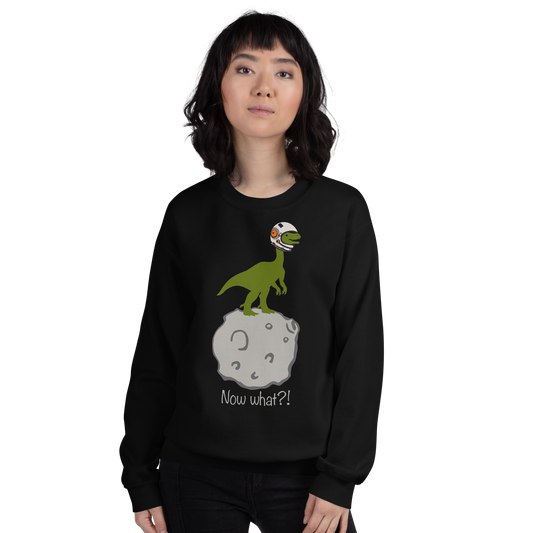 65 MILLION YEARS AGO Sweatshirt